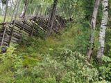 P7271676.jpg