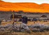 DSC_1087.jpg
