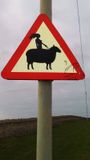 Lady Godiva rides a sheep in Ogmore