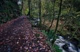 The old silica mine tramway, now a popular footpath.