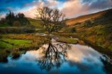 Nant Crew reflections.