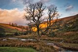 Last of the sunlight Cwm Crew.