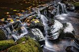 Winter at Llwyn-Onn