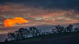 DSC_5746_01.JPG