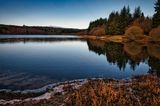 Llwyn-Onn.