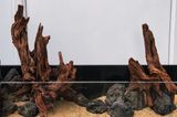 DSC_6654.jpg