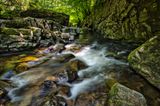 Light in the gorge at Pontneddfechan.