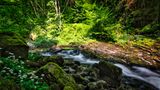DSC_6878.jpg