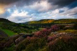 Last light on the side of the Taff Valley.