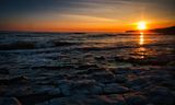 DSC_7742.jpg