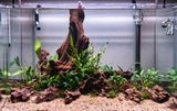 New scape September 2023.