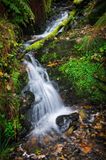 DSC_8152.jpg
