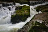 DSC_8245.jpg