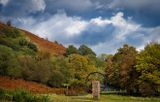 Autumn colours at Bwllfa.