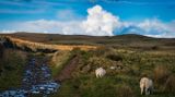 Sarn Helen.