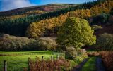 Farm track at Abercynafon with Darren Fach as a background.