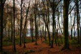 DSC_8699.jpg