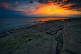 DSC_3197.jpg