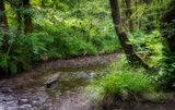 Afon Dar.