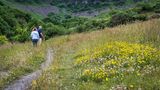 Wildflower walk.