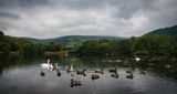 Top Lake on a damp September day.