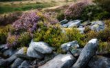 Stones and heather.