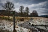 Leaden skies and frost on the ground.