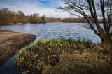 Top lake on a spring morning.