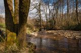 River Dare.