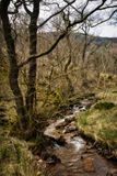 River Dare in the glacial cwm.