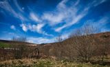 Dare Valley Country Park