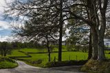 Country crossroads.