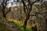 Edge of the path.