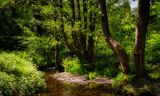Upper reaches of the River Dare.