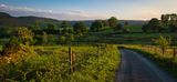 The lane to Gelli-Wrgan.