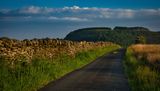Lane to Gelli-Wrgan.