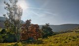 Autumn sun.