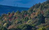 Autumn colours.