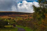 Path to the top lake in the Autumn sunshine.