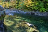Sol Duc River - Salmon Cascades