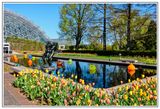 Missouri Botanical Garden