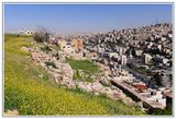 Amman