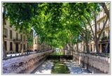 Nimes