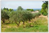 Saint-Rmy-de-Provence