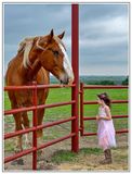 Little lady and Big Horse in Ennis, TX
