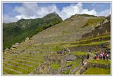 Terraces in Machu Picchu
