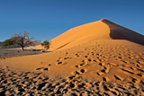 Desert Morning (Sunrise on Dune with Footprints)
