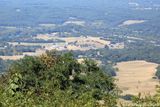Skyline Drive, Virginia