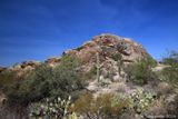 Saguaro NP Arizona