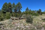 Grand Canyon behind South Rim
